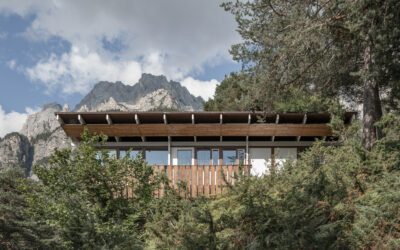 2- Edoardo Gellner: le villette di Corte di Cadore (seconda parte)
