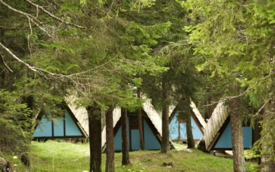 5- Edoardo Gellner: il Campeggio di Corte di Cadore (quinta parte)